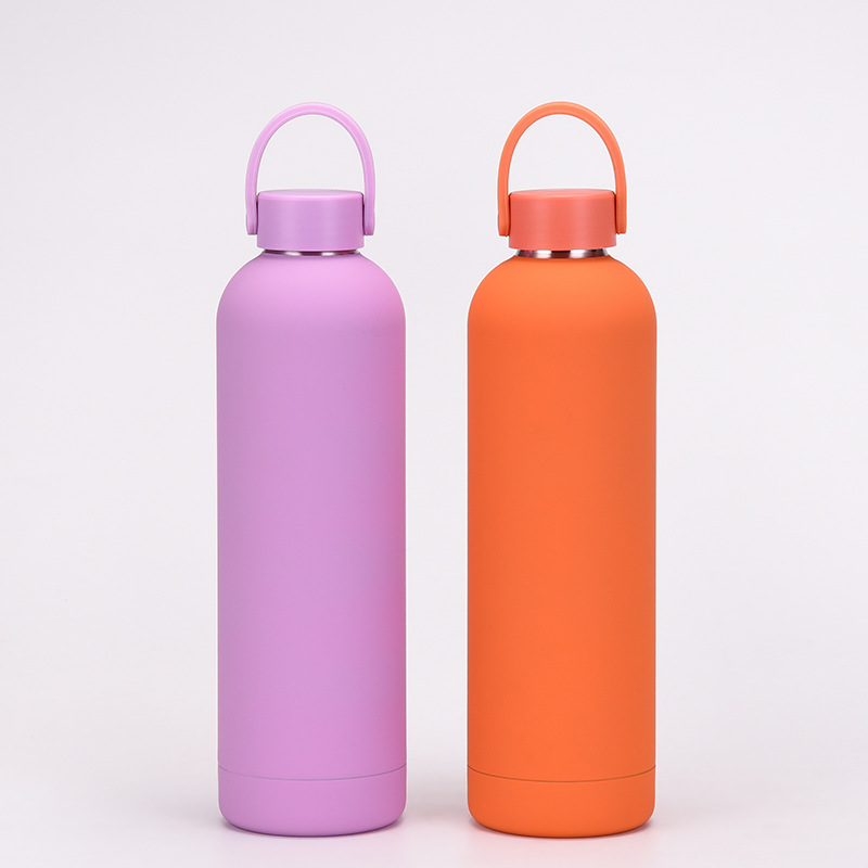Bouteille d'eau thermique en a - Water Bottle Blank avis et prix
