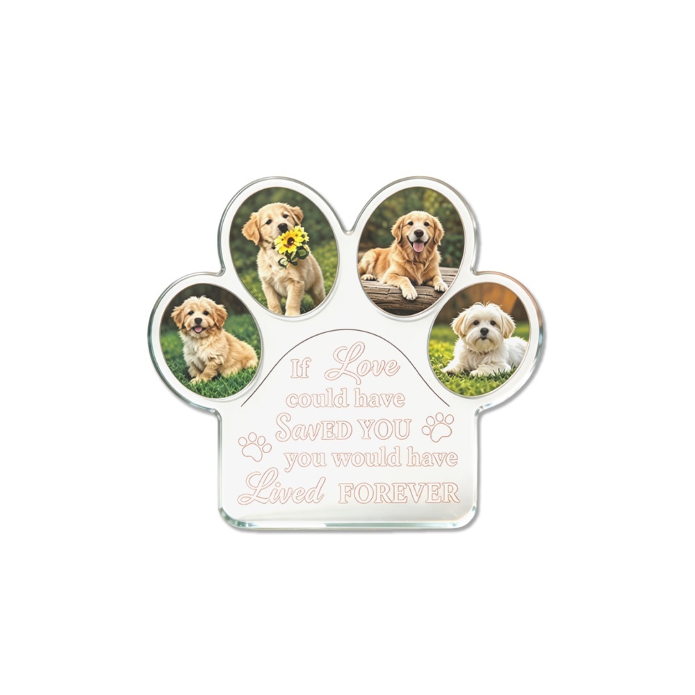 1 pièce Plaque de présentation - Photo Acrylic Block avis et prix